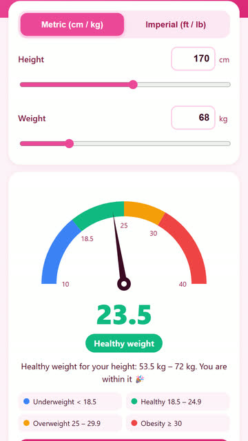 Screenshot of the BMI Calculator app template