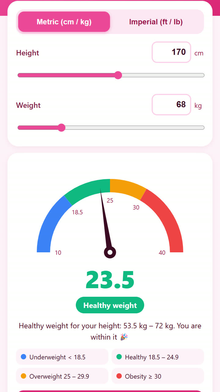 Screenshot of the BMI Calculator app template