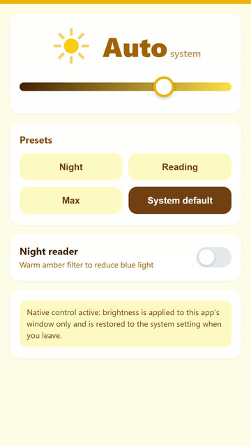 Screenshot of the Brightness app template